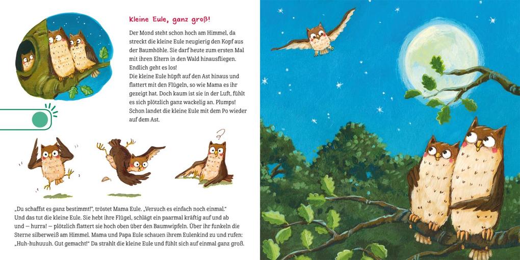 Weitere Ansicht: Hör mal (Soundbuch): Erste Geschichten: Kleine Tiere | Maria Höck