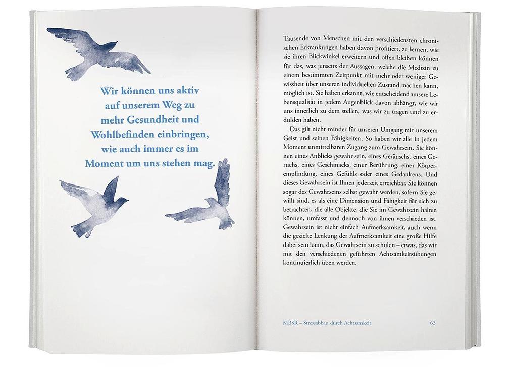 Weitere Ansicht: Achtsam mit dem Schmerz | Jon Kabat-Zinn