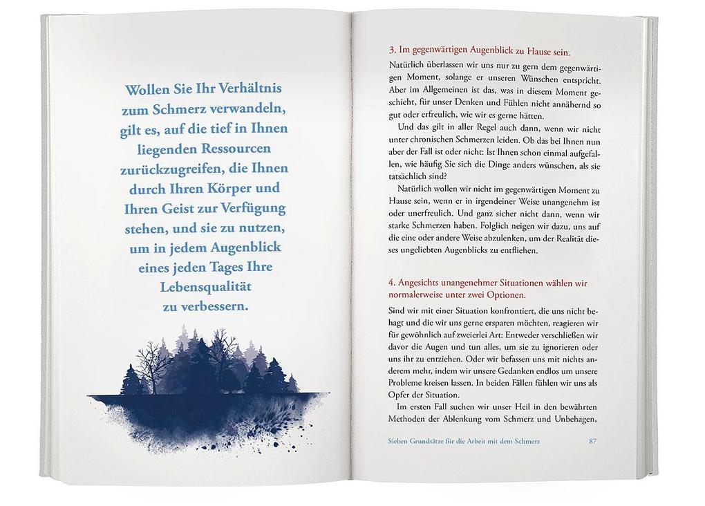 Weitere Ansicht: Achtsam mit dem Schmerz | Jon Kabat-Zinn