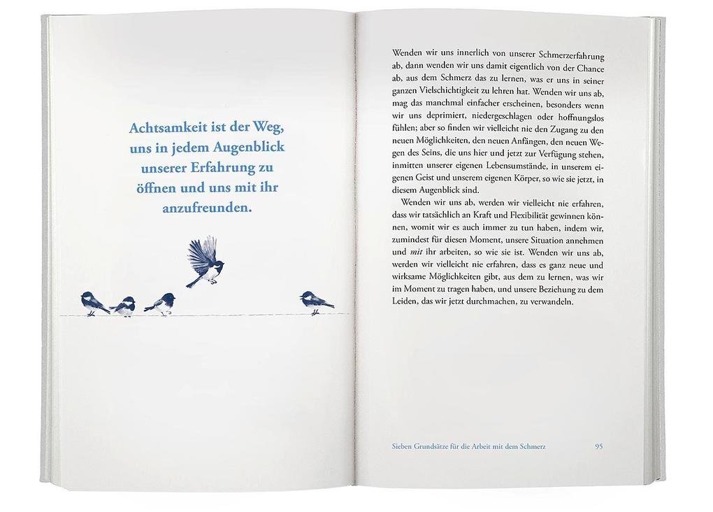 Weitere Ansicht: Achtsam mit dem Schmerz | Jon Kabat-Zinn