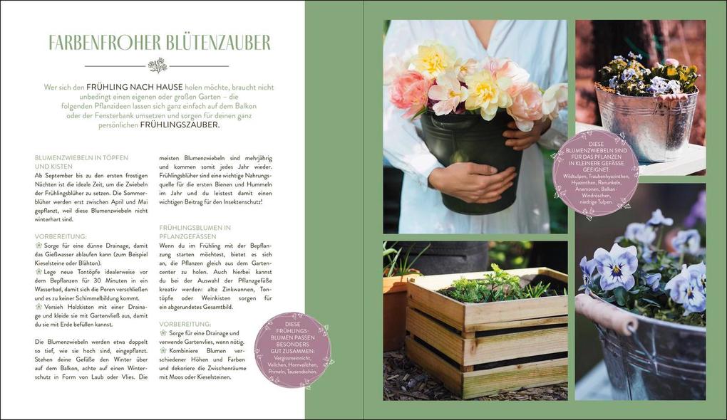 Weitere Ansicht: In meinem Garten blüht das Glück | Anna-Isabell Bergert