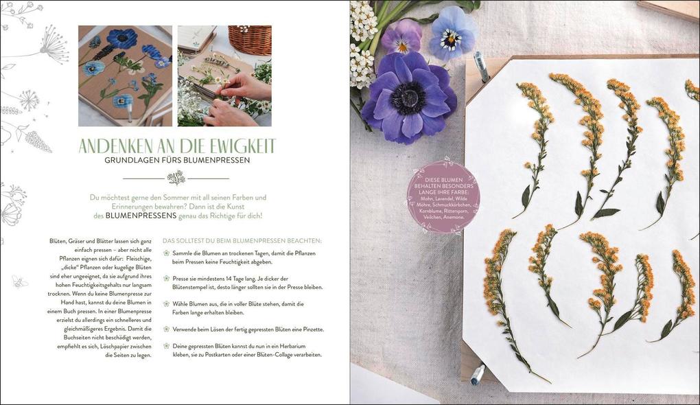 Weitere Ansicht: In meinem Garten blüht das Glück | Anna-Isabell Bergert