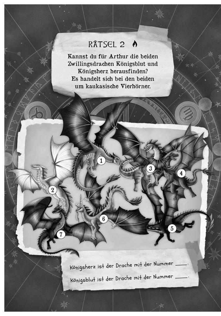 Weitere Ansicht: Die geheime Drachenschule: Löse das Rätsel der Zwillingsflammen | Emily Skye