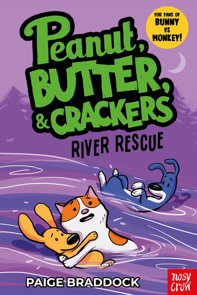Produktbild: River Rescue | Paige Braddock