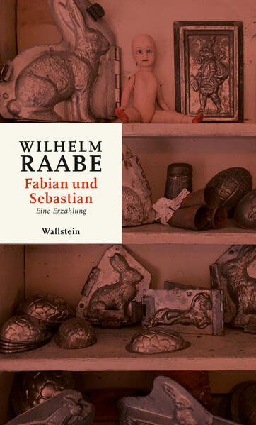 Produktbild: Fabian und Sebastian | Wilhelm Raabe