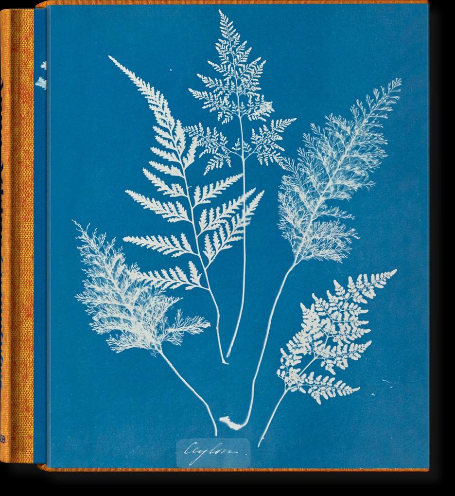 Produktbild: Anna Atkins | Peter Walther