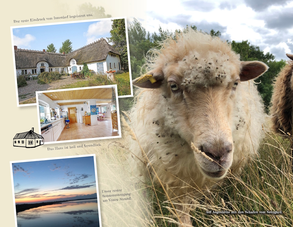 Weitere Ansicht: Statt Land Insel | Silvia Weihermüller, Guido Weihermüller