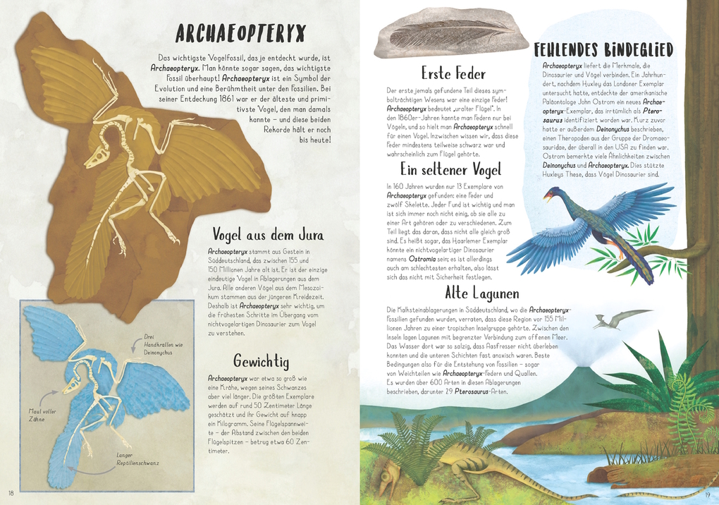 Weitere Ansicht: Vom Tyrannosaurus zum Huhn | Jingmai O'Connor