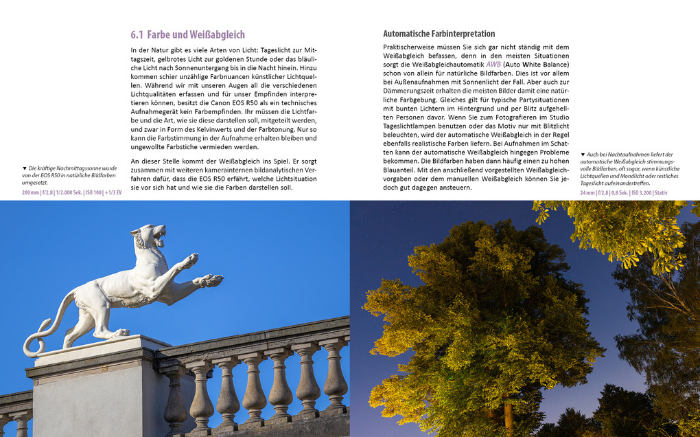 Weitere Ansicht: Canon EOS R50 | Kyra Sänger, Christian Sänger