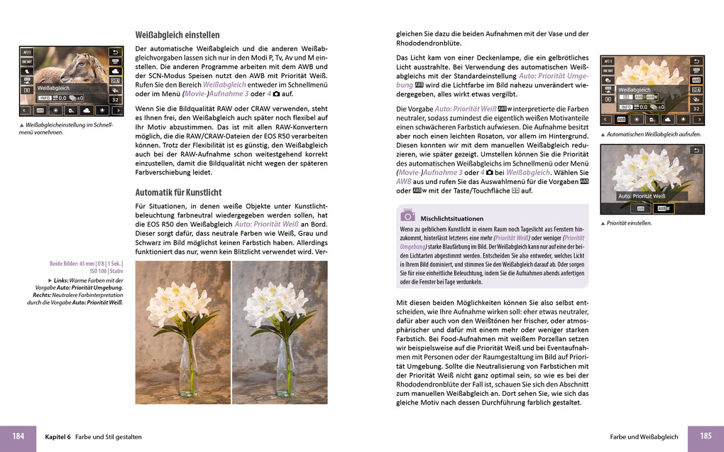 Weitere Ansicht: Canon EOS R50 | Kyra Sänger, Christian Sänger