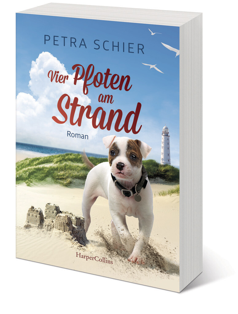 Weitere Ansicht: Vier Pfoten am Strand | Petra Schier
