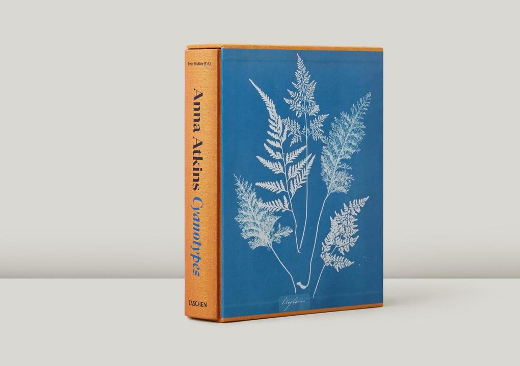 Weitere Ansicht: Anna Atkins | Peter Walther