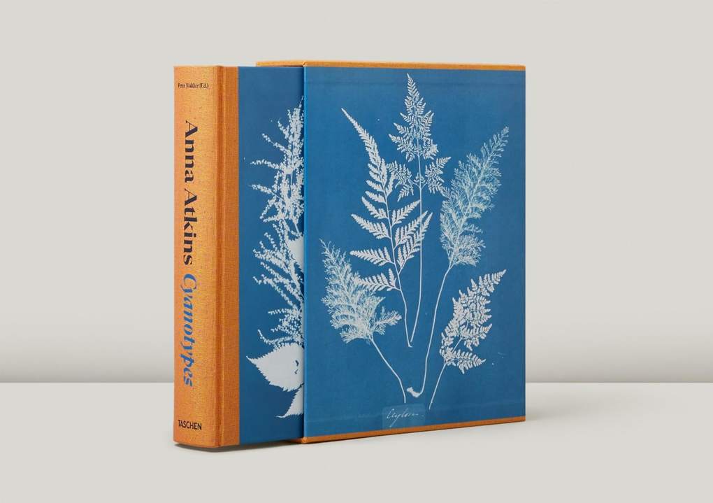 Weitere Ansicht: Anna Atkins | Peter Walther