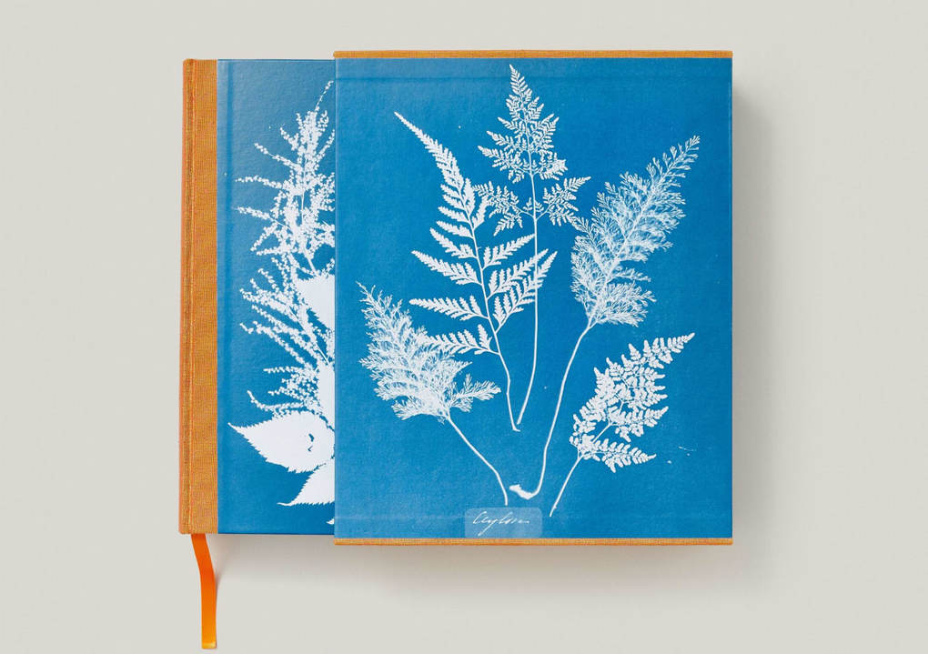 Weitere Ansicht: Anna Atkins | Peter Walther
