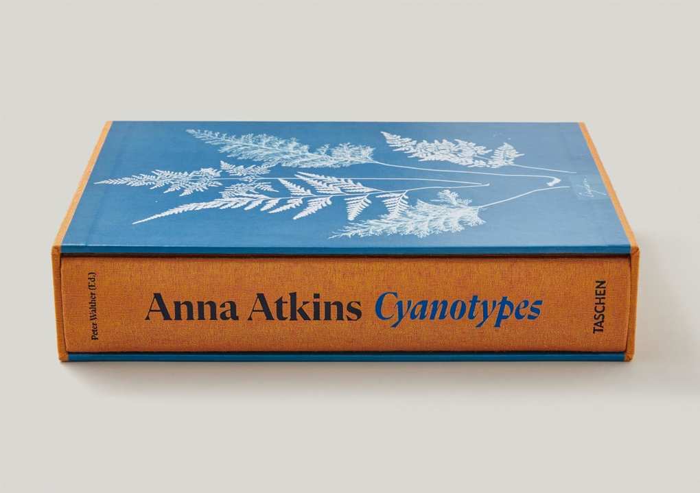 Weitere Ansicht: Anna Atkins | Peter Walther