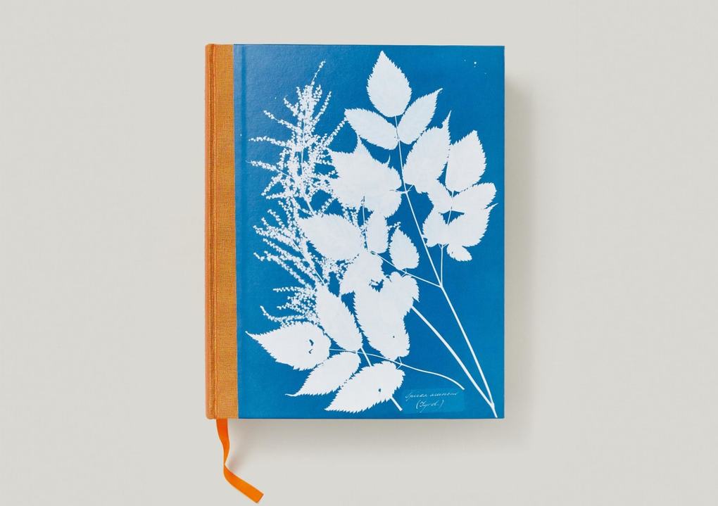 Weitere Ansicht: Anna Atkins | Peter Walther