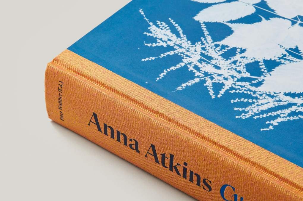 Weitere Ansicht: Anna Atkins | Peter Walther
