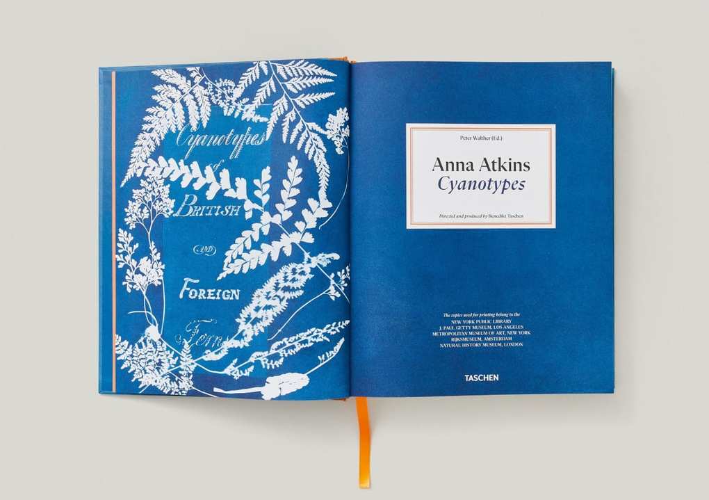 Weitere Ansicht: Anna Atkins | Peter Walther