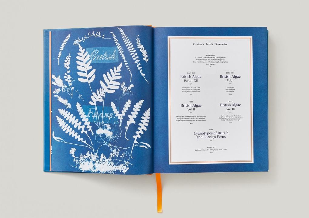 Weitere Ansicht: Anna Atkins | Peter Walther