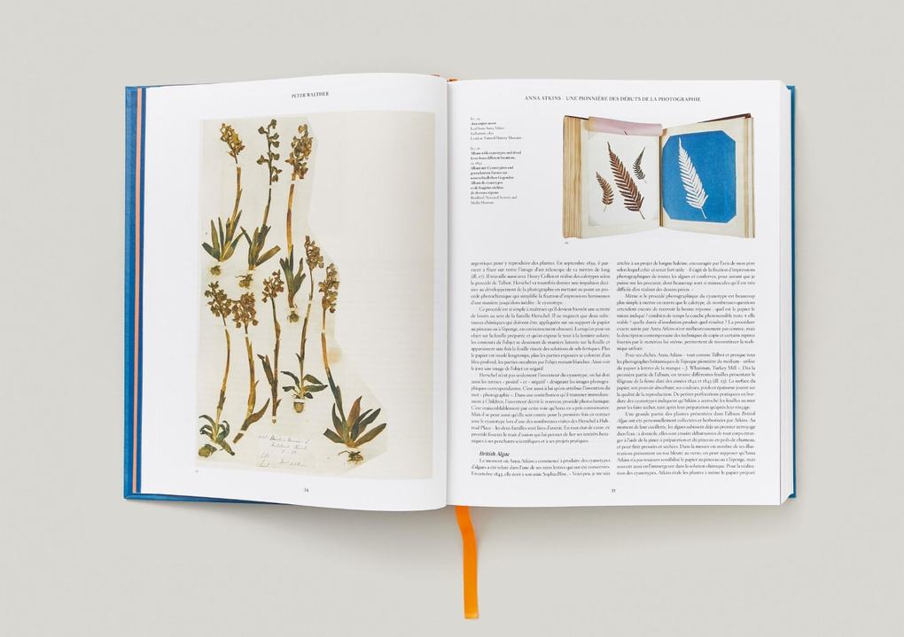Weitere Ansicht: Anna Atkins | Peter Walther