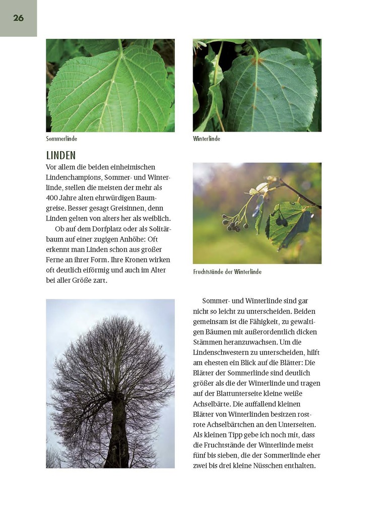 Weitere Ansicht: Faszinierende Bäume in Oberbayern | Jürgen Schuller