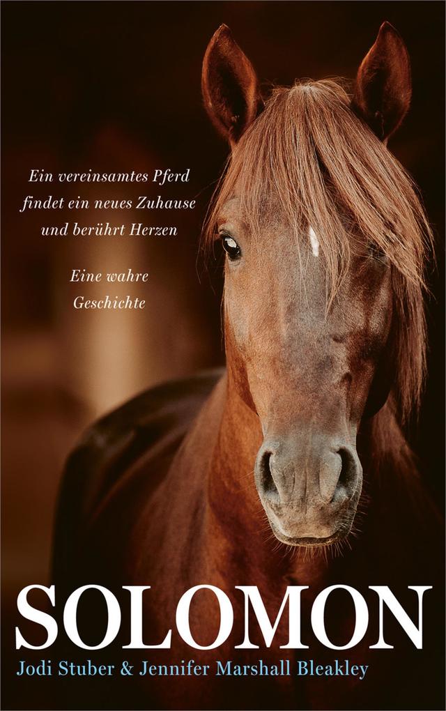 Produktbild: Solomon | Jennifer Marshall Bleakley, Jodi Stuber