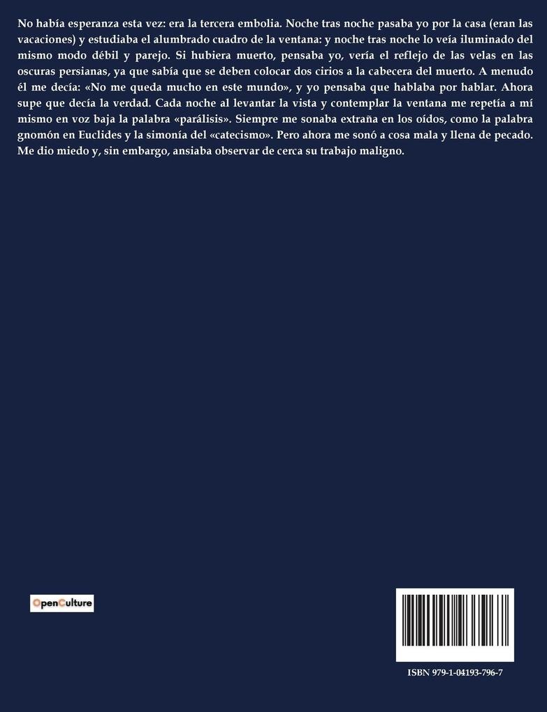 Weitere Ansicht: Dublineses | James Joyce