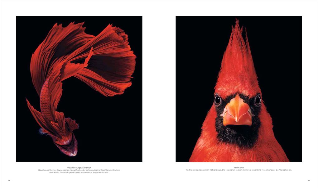 Weitere Ansicht: National Geographic Verborgene Welten - Einzigartige Fotografien | Anand Varma