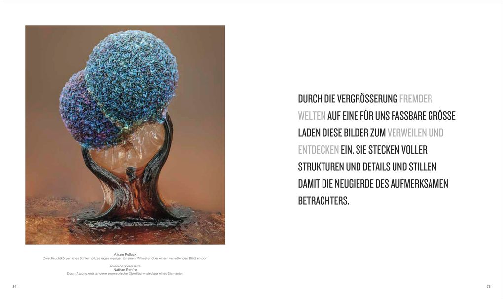 Weitere Ansicht: National Geographic Verborgene Welten - Einzigartige Fotografien | Anand Varma