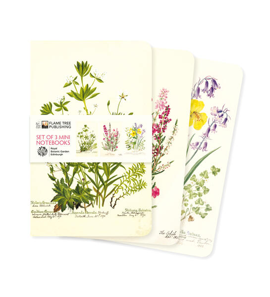 Produktbild: Royal Botanic Garden Edinburgh Set of 3 Mini Notebooks