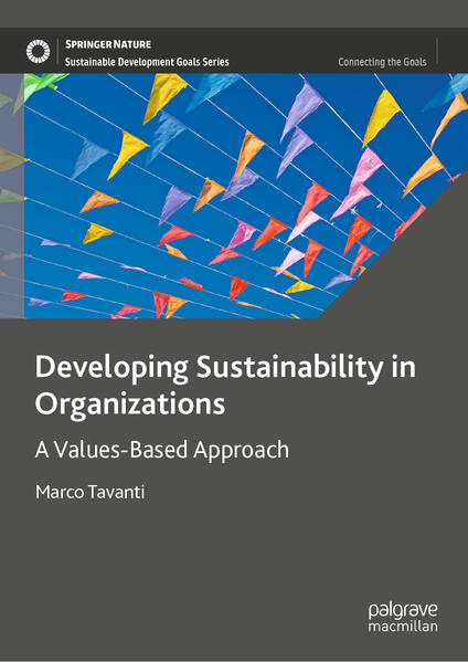 Produktbild: Developing Sustainability in Organizations | Marco Tavanti