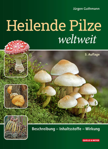 Produktbild: Heilende Pilze weltweit | Jürgen Guthmann