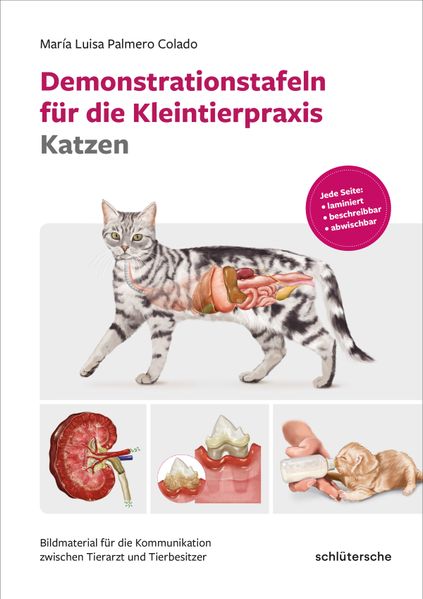Produktbild: Demonstrationstafeln für die Kleintierpraxis Katzen | María Luisa Palmero Colado