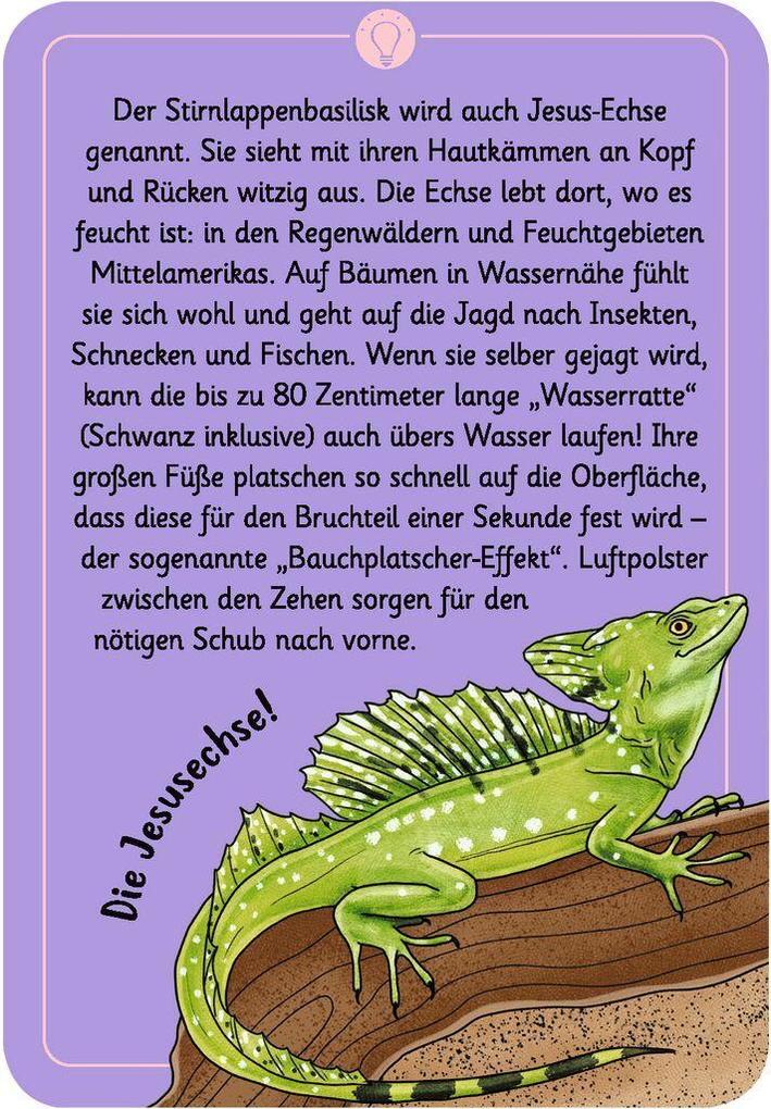 Weitere Ansicht: Exp Natur 50 wundersame Tierrätsel | Inga Marie Ramcke