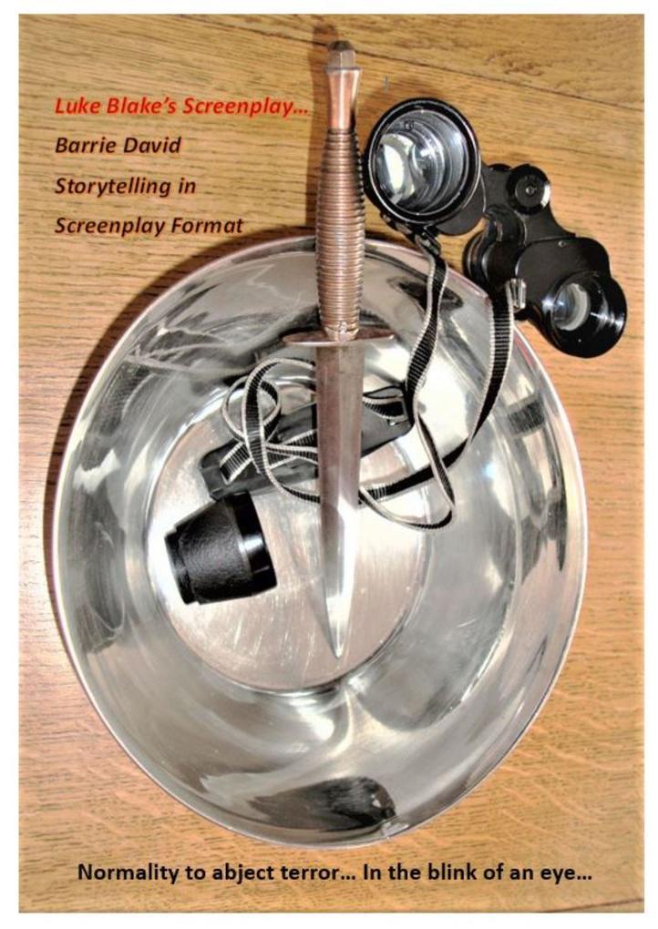 Produktbild: Luke Blake's Screenplay | Barrie David