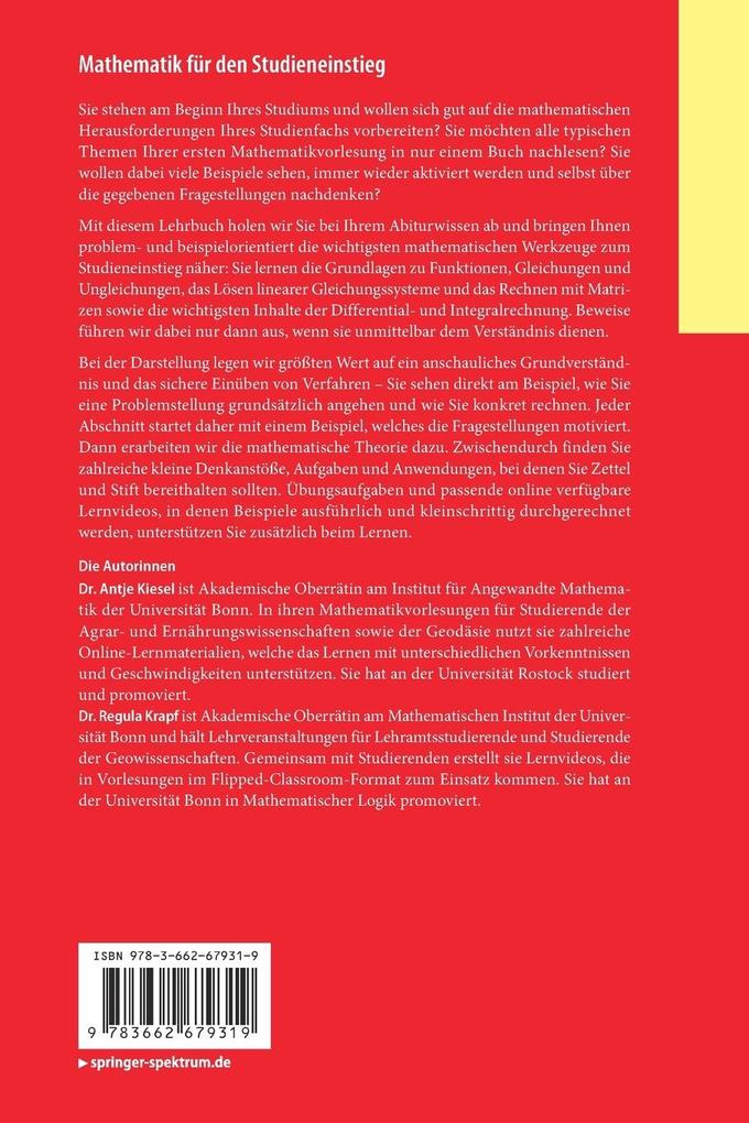 Weitere Ansicht: Mathematik für den Studieneinstieg | Antje Kiesel, Regula Krapf