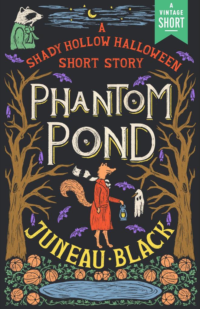 Produktbild: Phantom Pond | Juneau Black