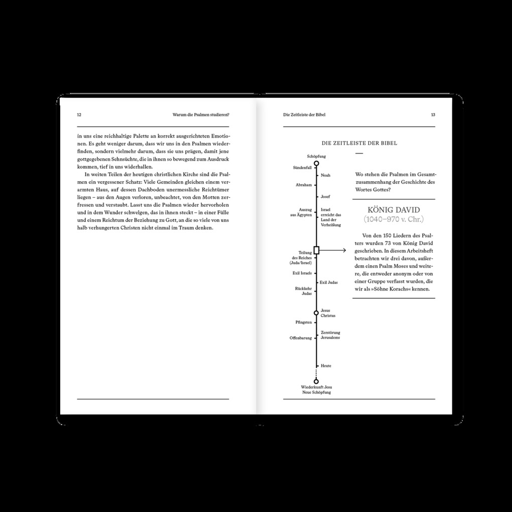 Weitere Ansicht: Psalmen | Arbeitsheft (Die Bibel erklärt) | Christopher Ash