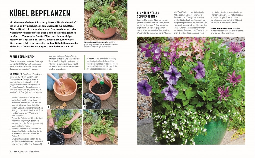 Weitere Ansicht: Grünes Gartenwissen. Kleine Gärten optimal gestaltet | Zia Allaway