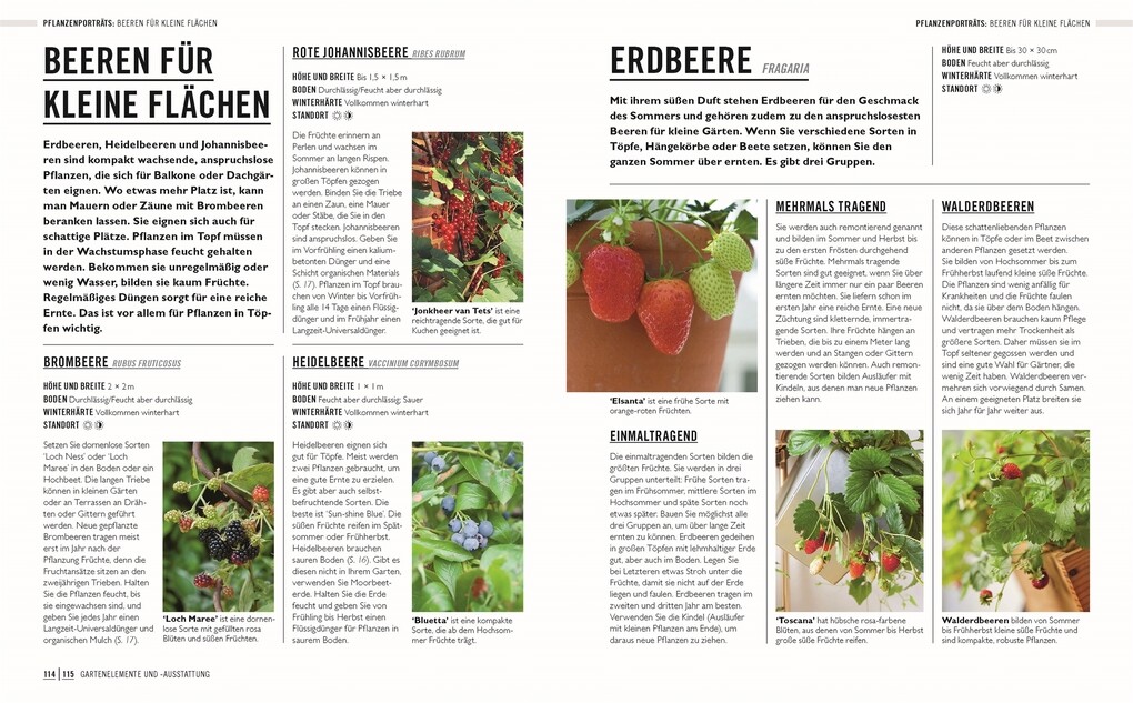 Weitere Ansicht: Grünes Gartenwissen. Kleine Gärten optimal gestaltet | Zia Allaway