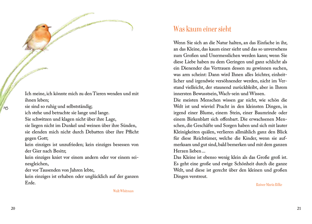 Weitere Ansicht: Sonnenschein, Freiheit und eine kleine Blume braucht man