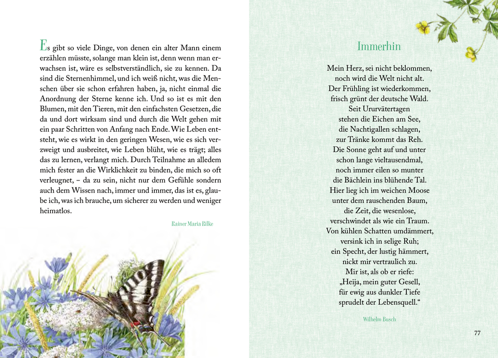 Weitere Ansicht: Sonnenschein, Freiheit und eine kleine Blume braucht man