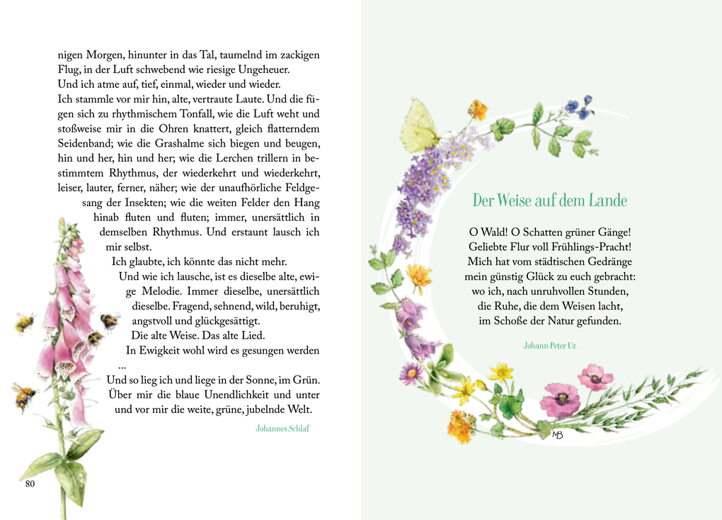 Weitere Ansicht: Sonnenschein, Freiheit und eine kleine Blume braucht man