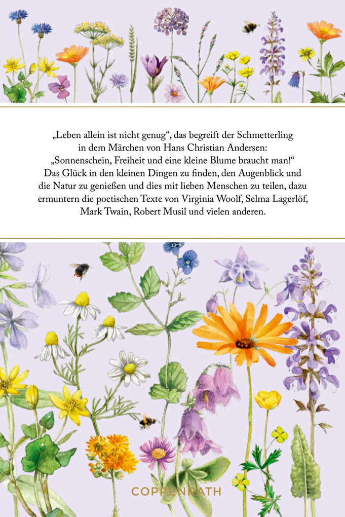 Weitere Ansicht: Sonnenschein, Freiheit und eine kleine Blume braucht man