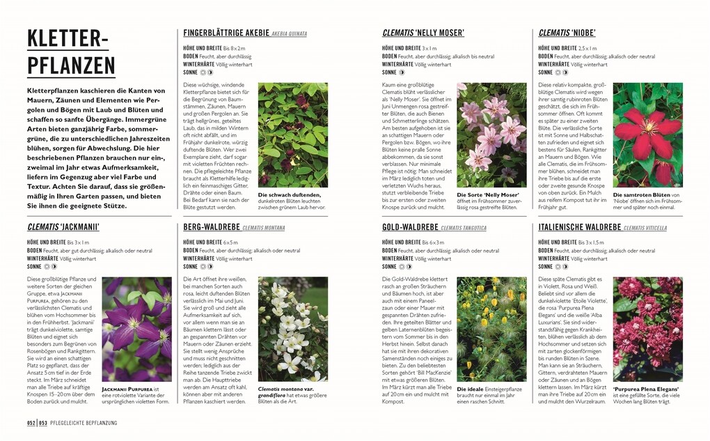 Weitere Ansicht: Grünes Gartenwissen. Gärtnern mit wenig Aufwand | Zia Allaway