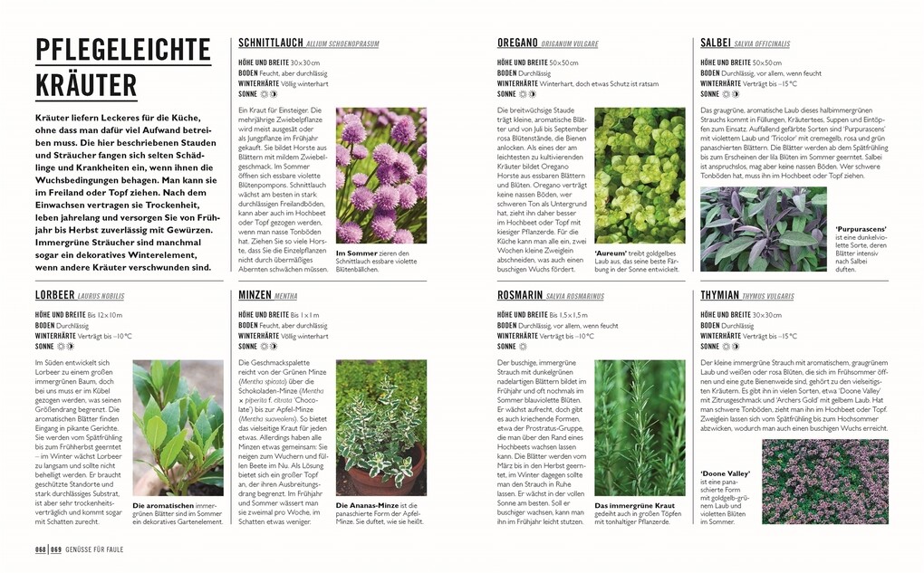 Weitere Ansicht: Grünes Gartenwissen. Gärtnern mit wenig Aufwand | Zia Allaway