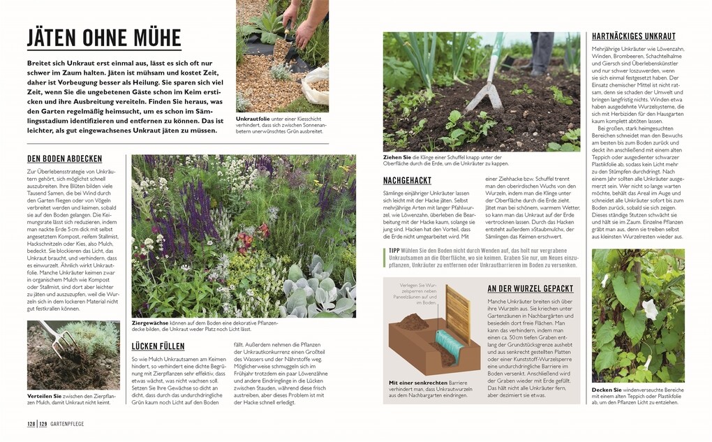 Weitere Ansicht: Grünes Gartenwissen. Gärtnern mit wenig Aufwand | Zia Allaway