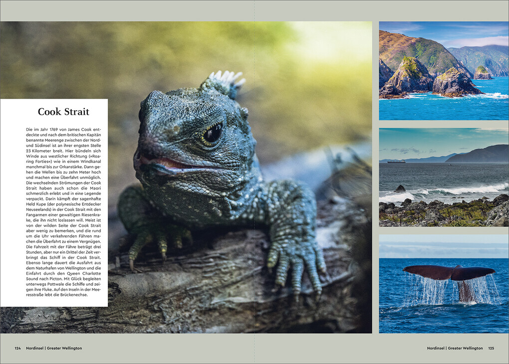 Weitere Ansicht: KUNTH Unterwegs in Neuseeland | Birgit Adam, Robert Fischer, Thomas Frank, Melanie Goldmann