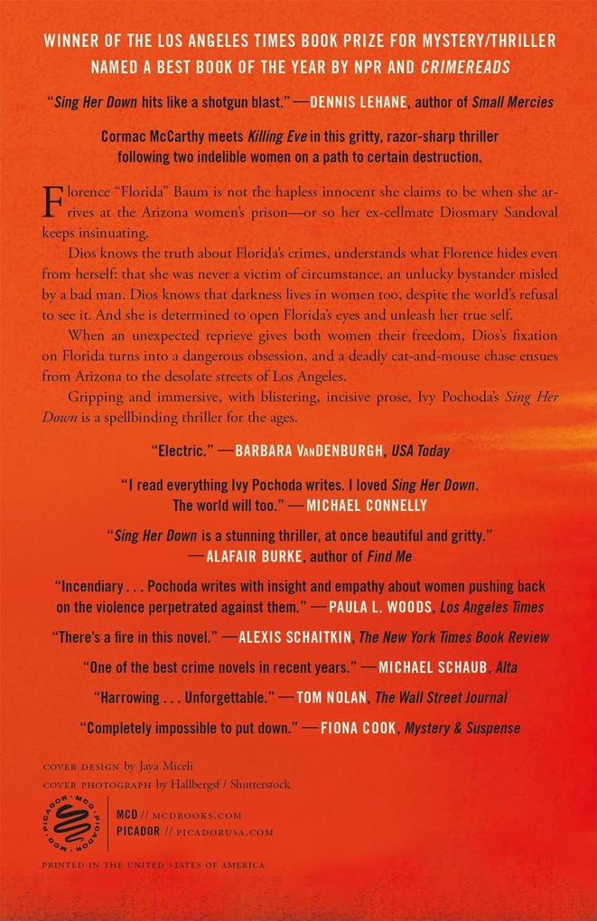 Weitere Ansicht: Sing Her Down | Ivy Pochoda