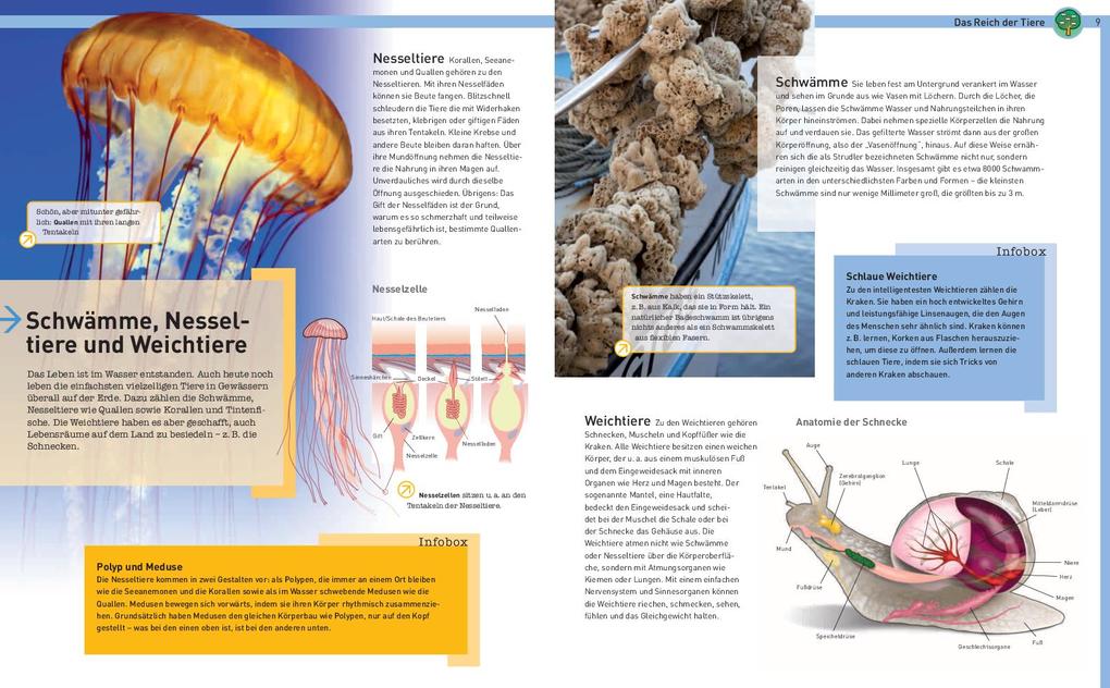 Weitere Ansicht: Tiere der Welt | Eva Maria Marquart